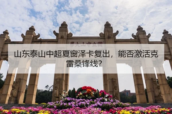 山东泰山中超夏窗泽卡复出，能否激活克雷桑锋线？
